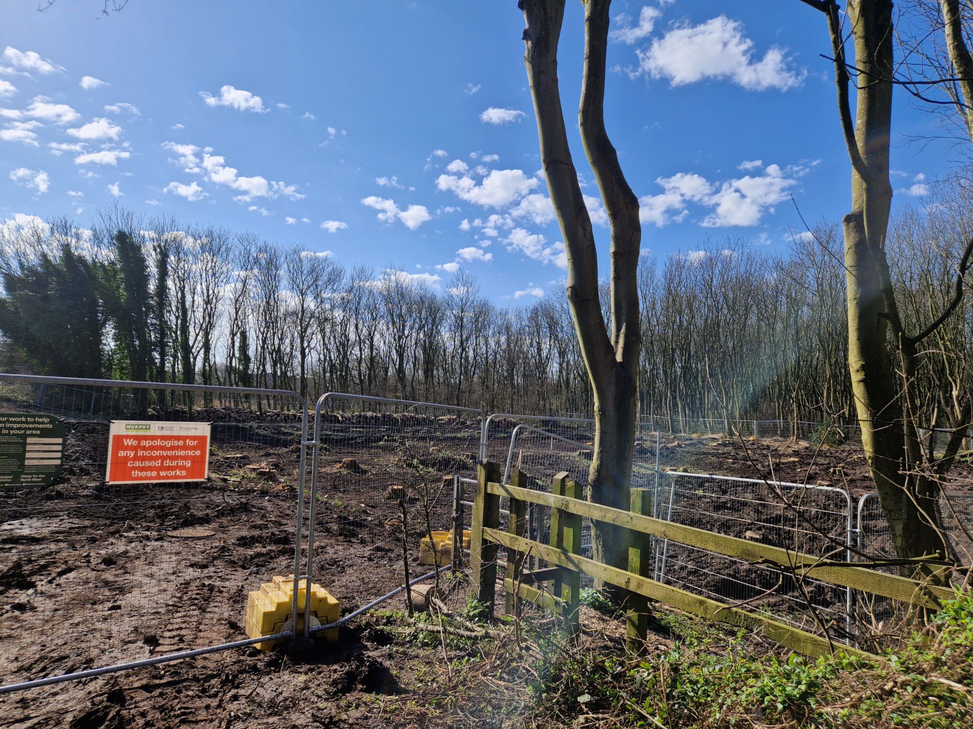 Broadwater Wood in Fleetwood 'must be properly restored' after Unitied ...