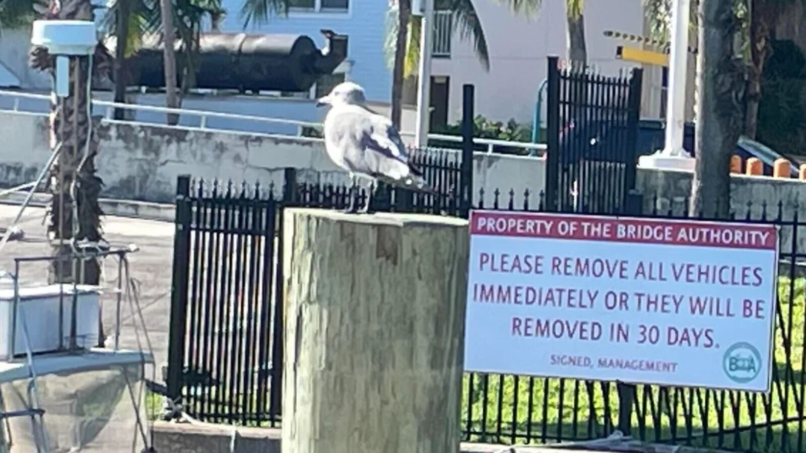 17 people who ignored every warning sign available