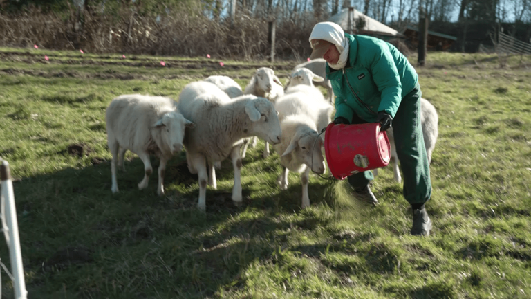 How Black Oregon Land Trust helps secure the future of Black ranchers ...