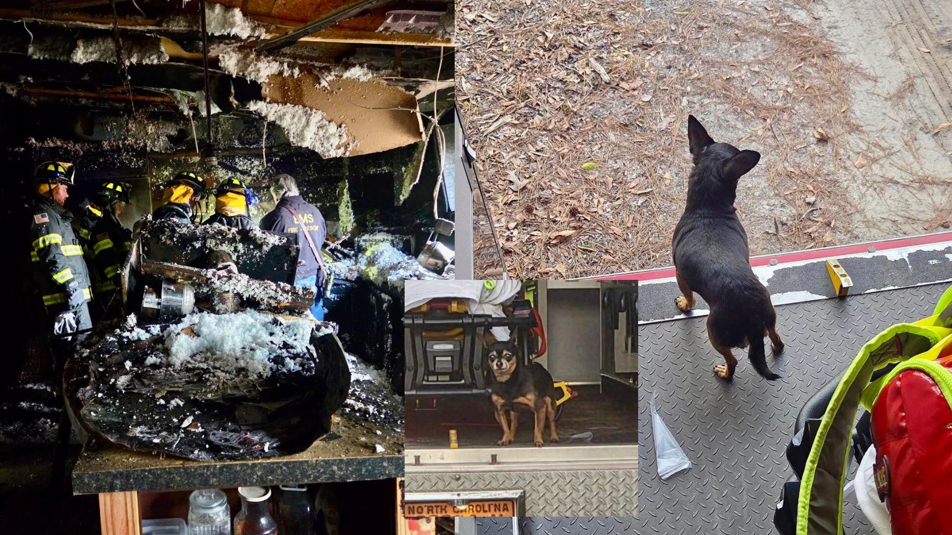 Firefighters rescue dog from Riegelwood house fire