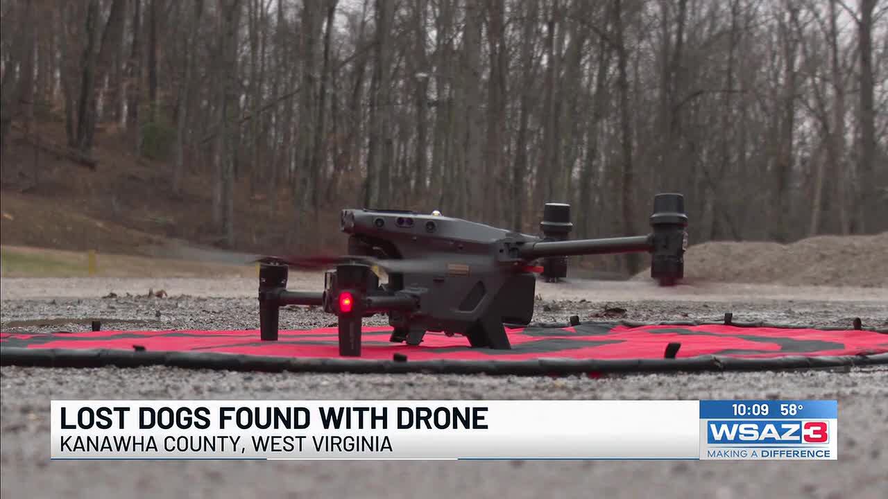 Lost dogs found using a thermal drone search