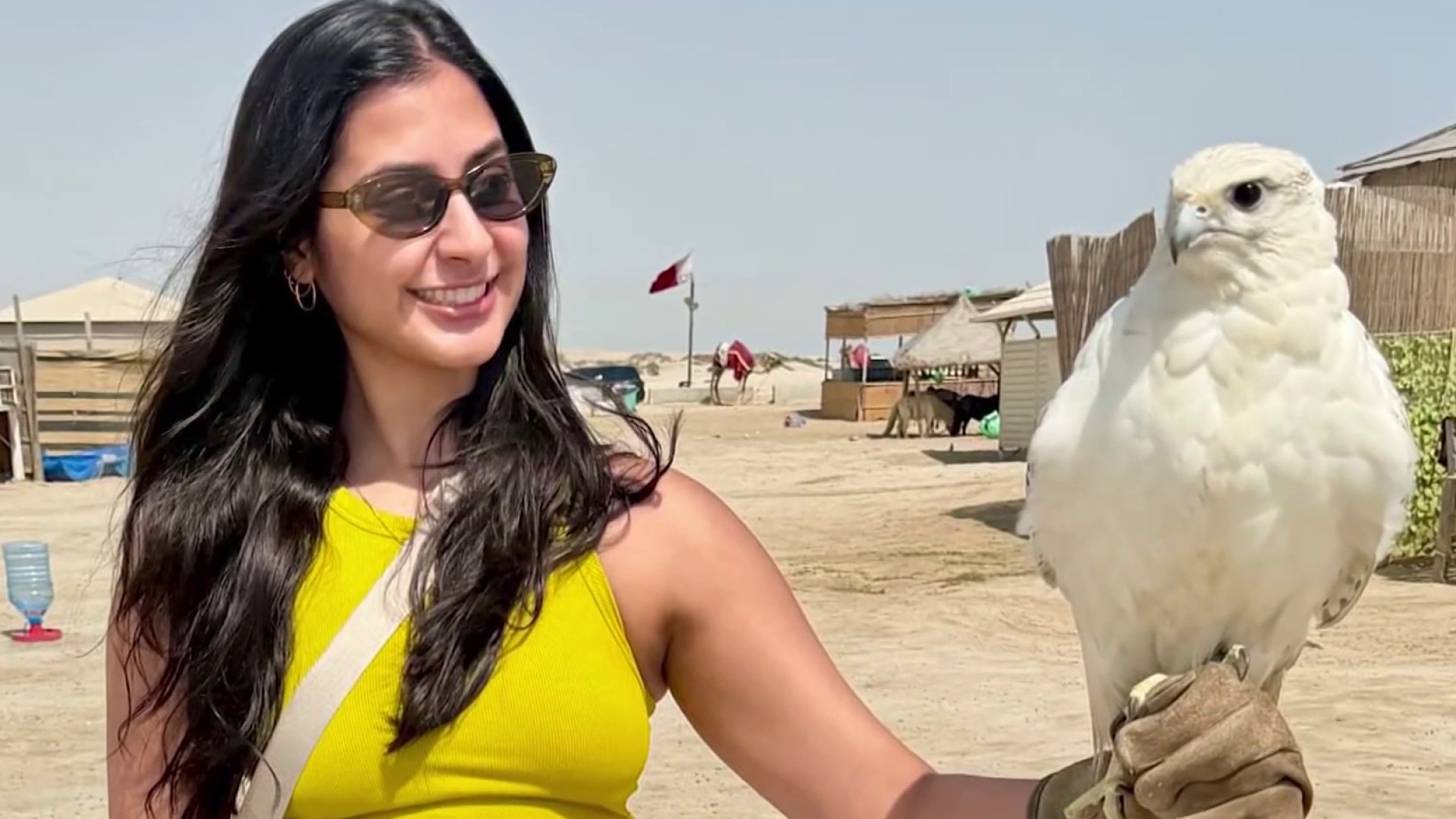 'Explosions every day': Virginia woman on her way to wedding in India ...