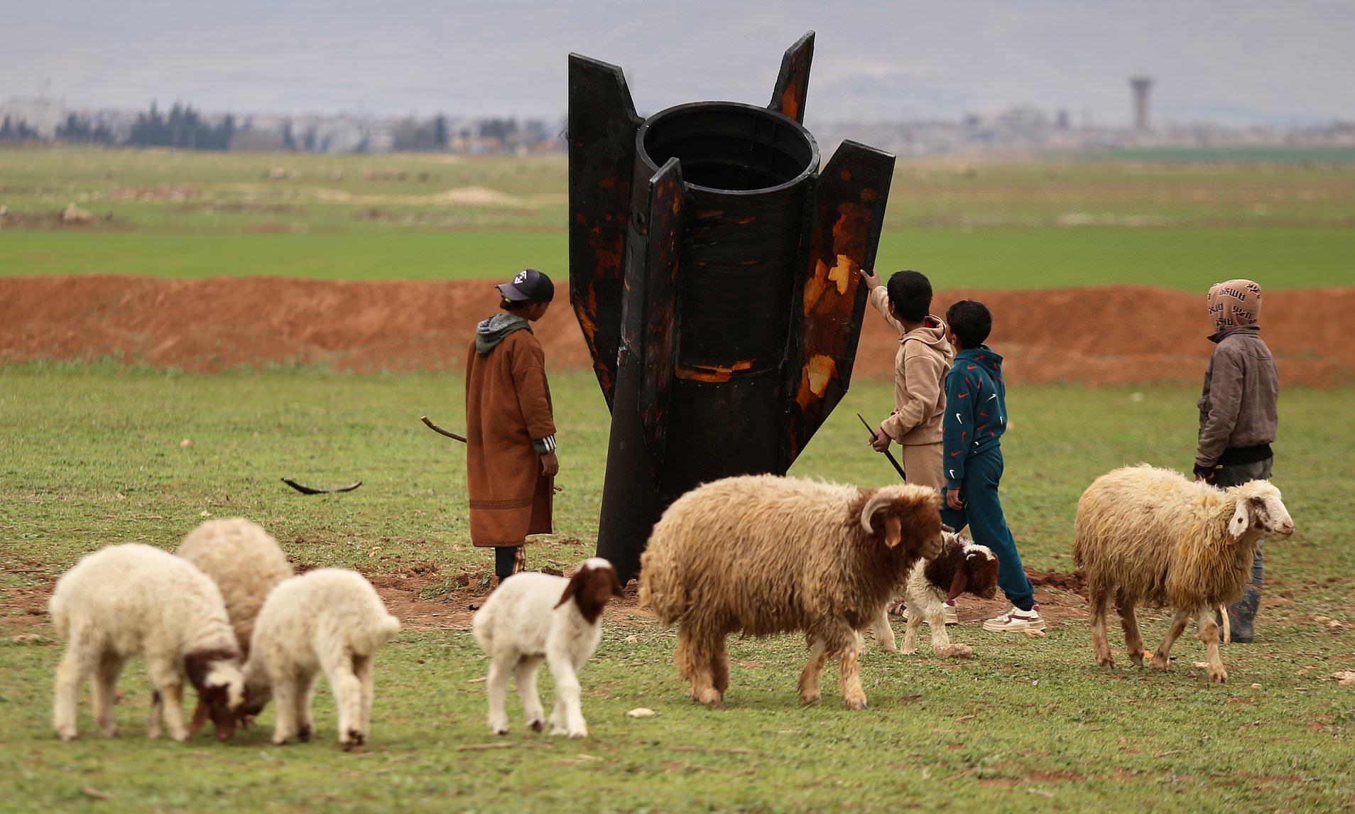 Flock and awe! Missile lands in Syrian sheep field to the bemusement of ...