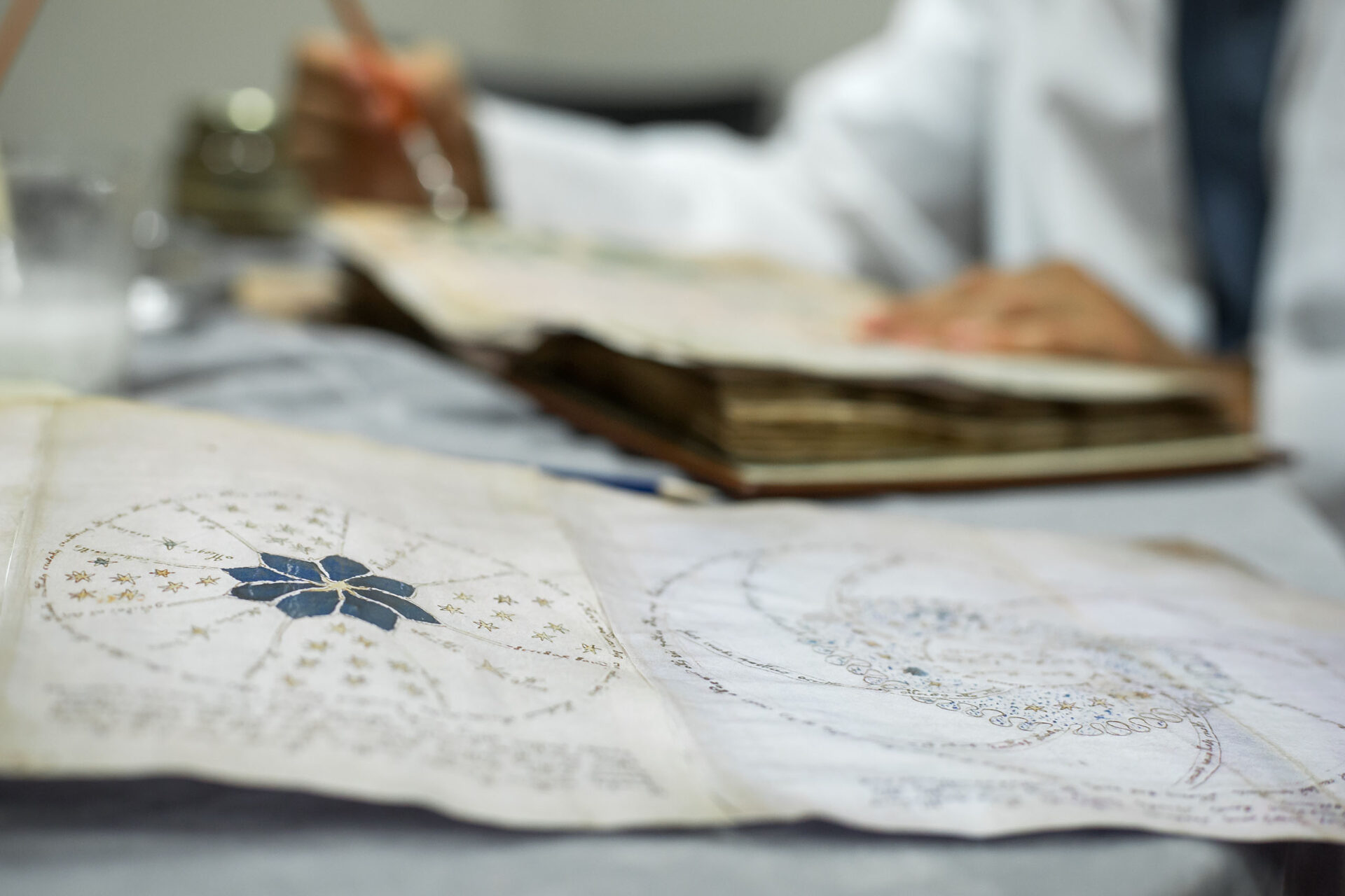 Das Voynich-Manuskript: Das größte literarische Mysterium aller Zeiten