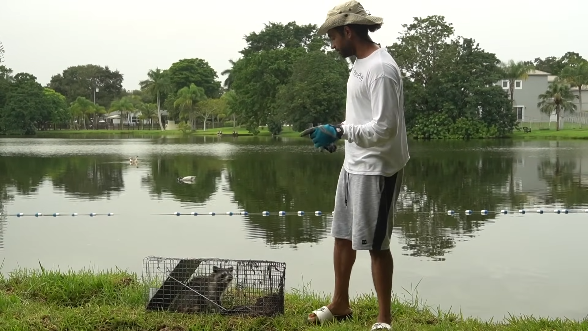 The predator killing my pet fish is finally caught