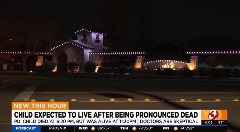 Toddler declared dead after drowning in pool came back to life hours later