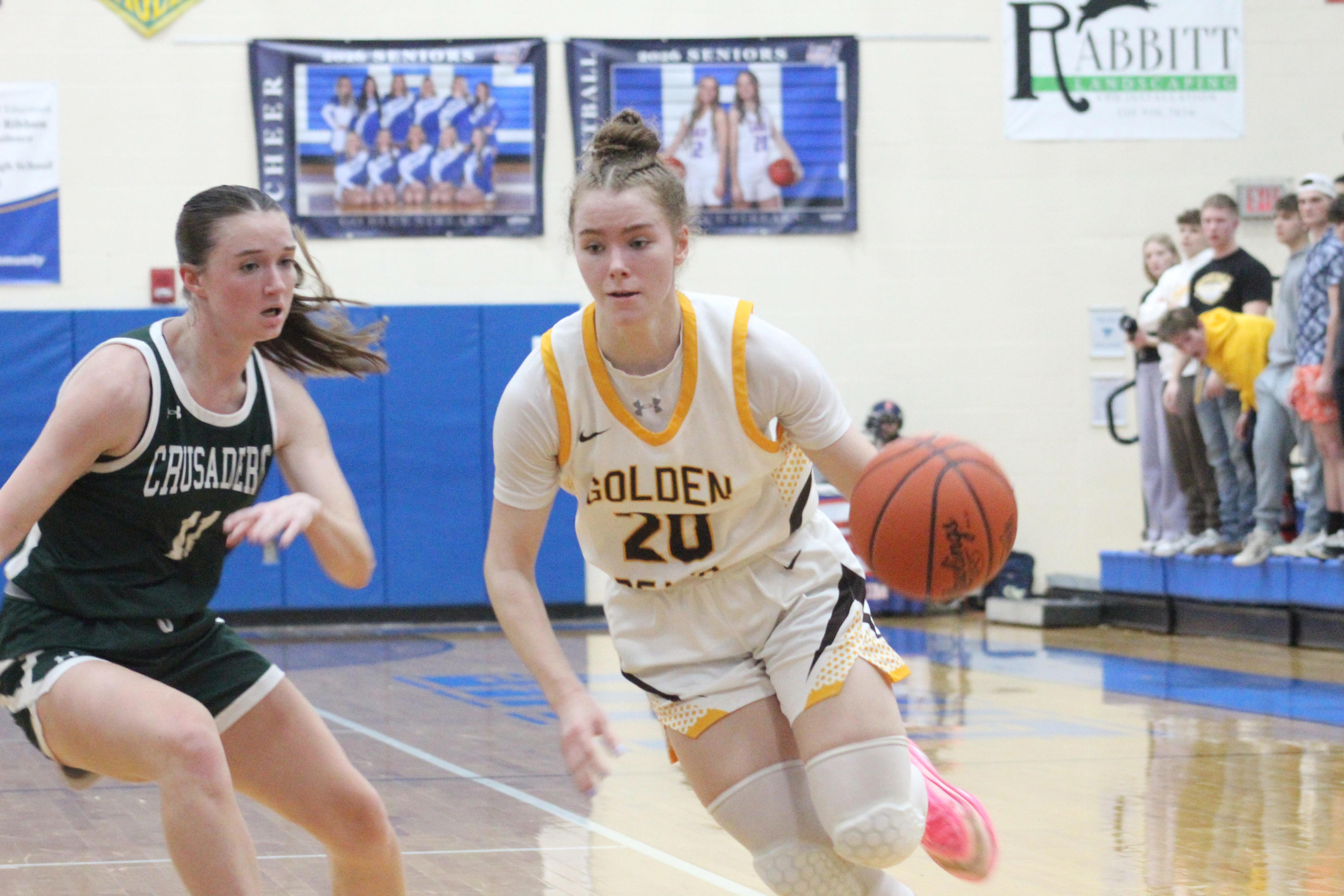 Here's who made the Wooster Daily Record All-Area Girls Basketball Team