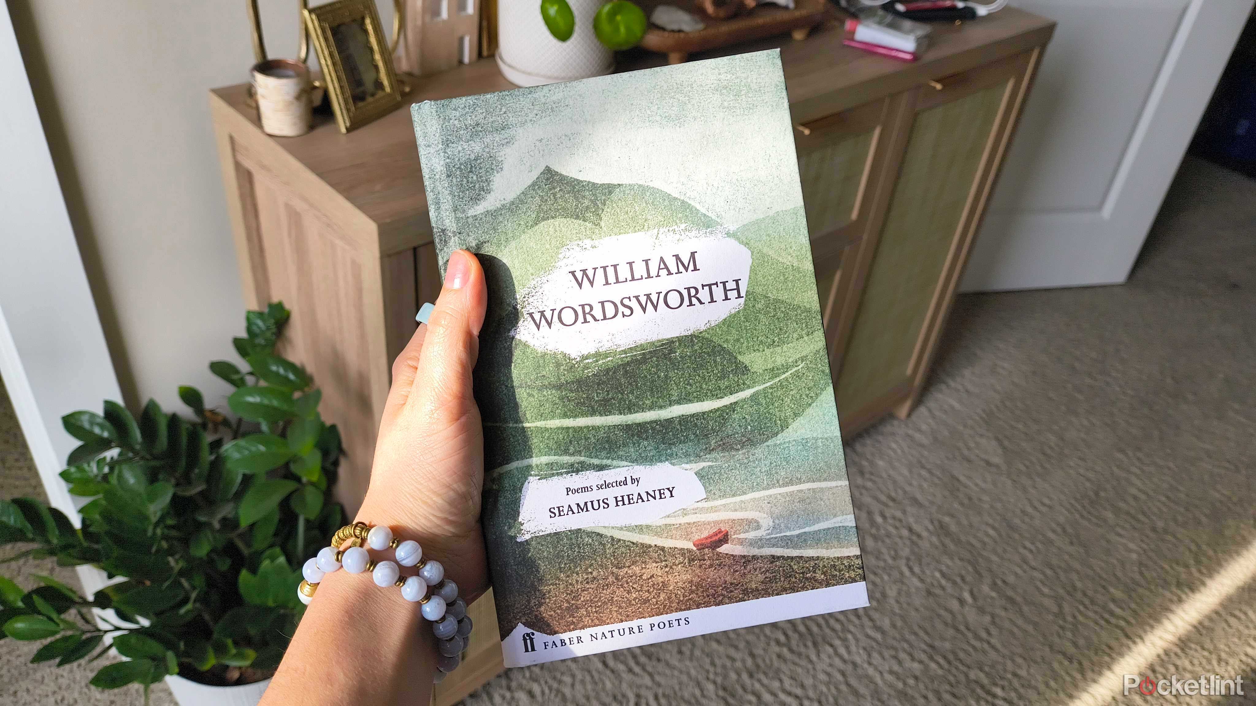 A collection of poems from Wordsworth.