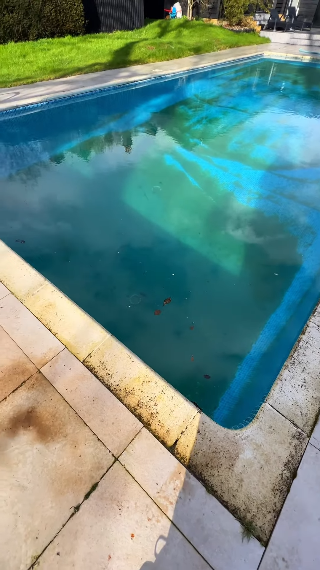 Why most green pools can be saved