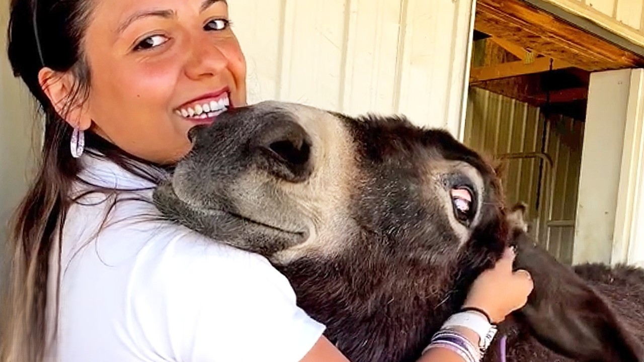 Rescue donkeys smile and sing when their favorite humans arrive<br>