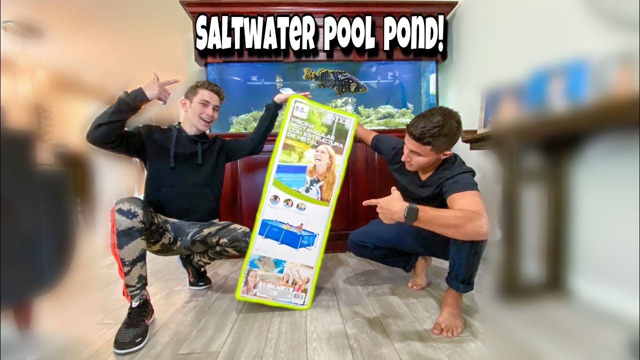 I built a saltwater pool pond for my fish!🐠