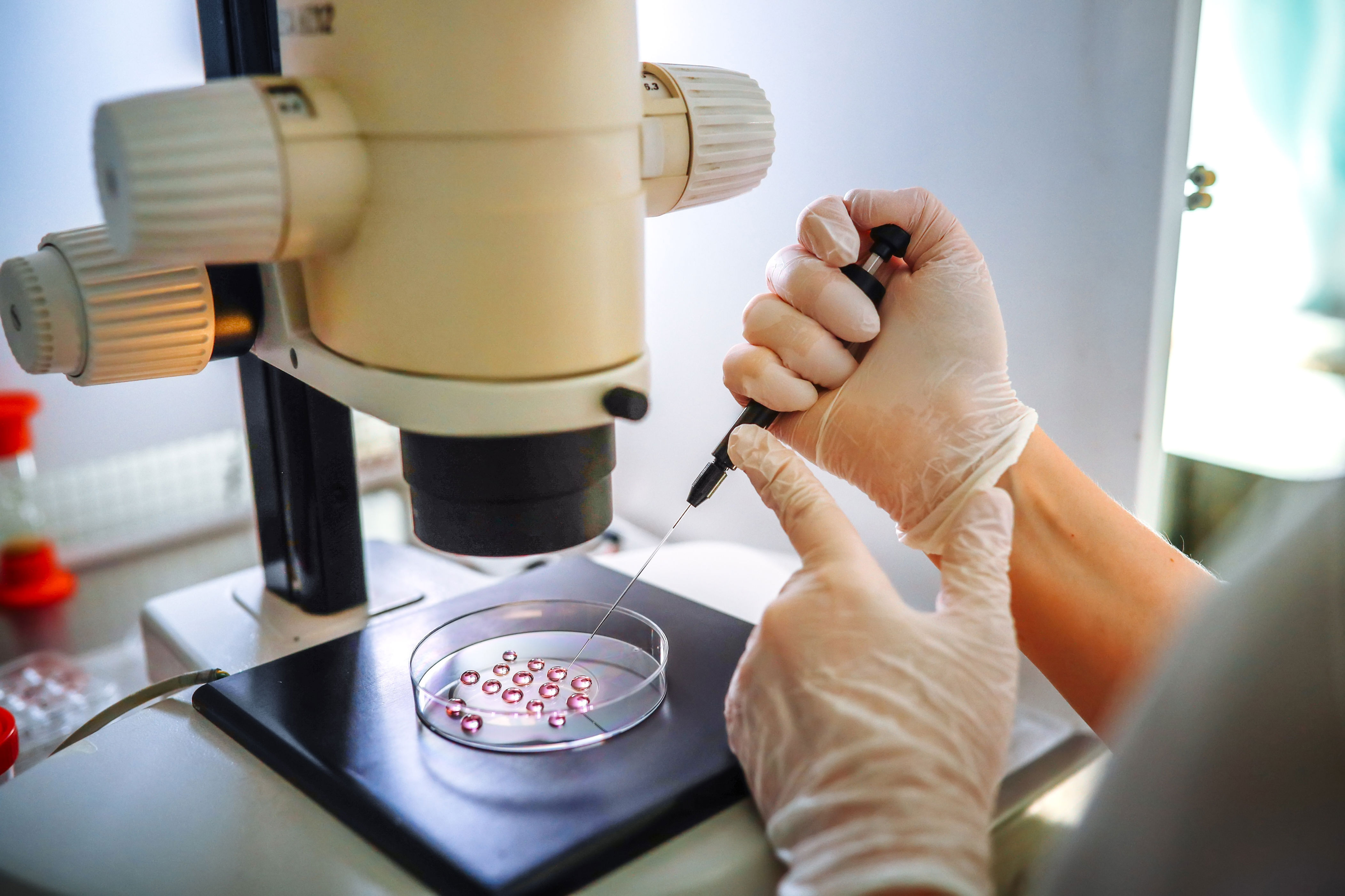 Costco launches IVF program offering heavily discounted fertility drugs ...