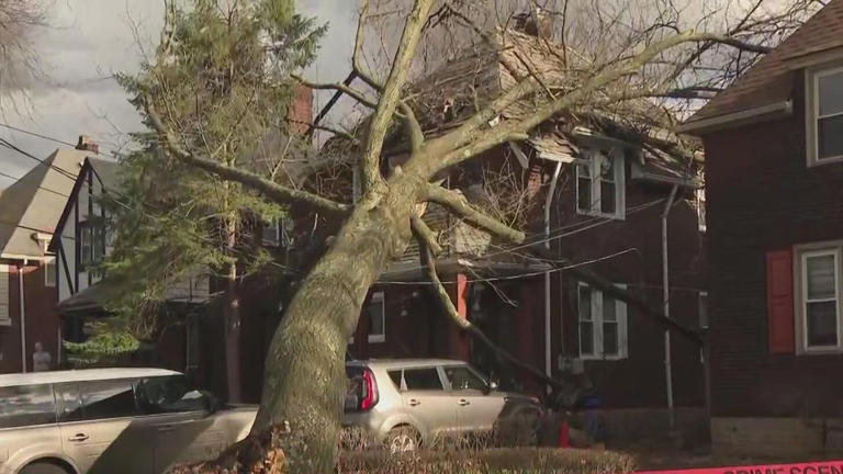 Thousands remain without power on Saturday after Friday's strong winds