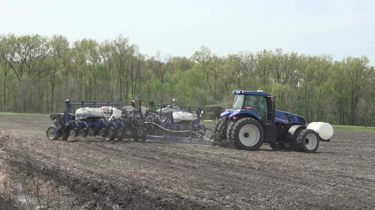 Iran war: Oil prices continue to rise, other industries prepare for impact