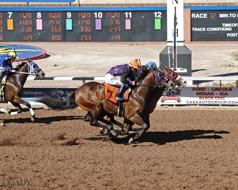 10 horses qualify for West Texas Futurity at Sunland Park Racetrack