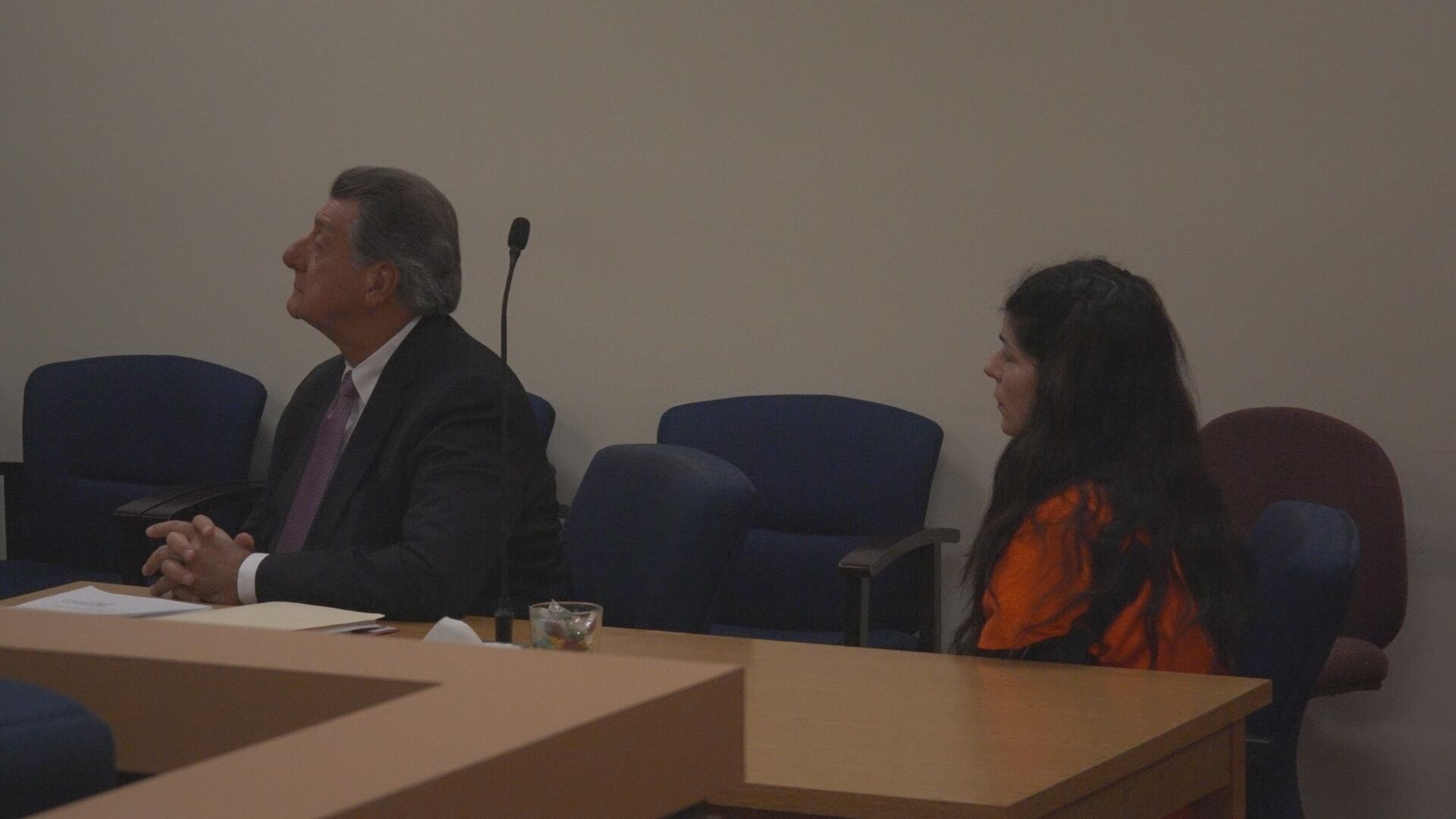 Williamstown murder suspect in court for final pretrial hearing