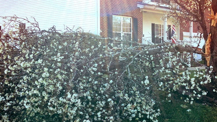 NWS confirms EF-0 tornado touched down northeast of Irmo Thursday morning