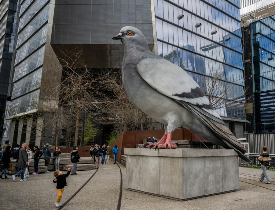 Fly away: The giant pigeon is leaving the High Line
