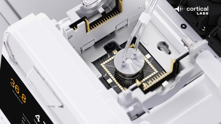 Mad scientists to power AI data centers with living brain neuron ...
