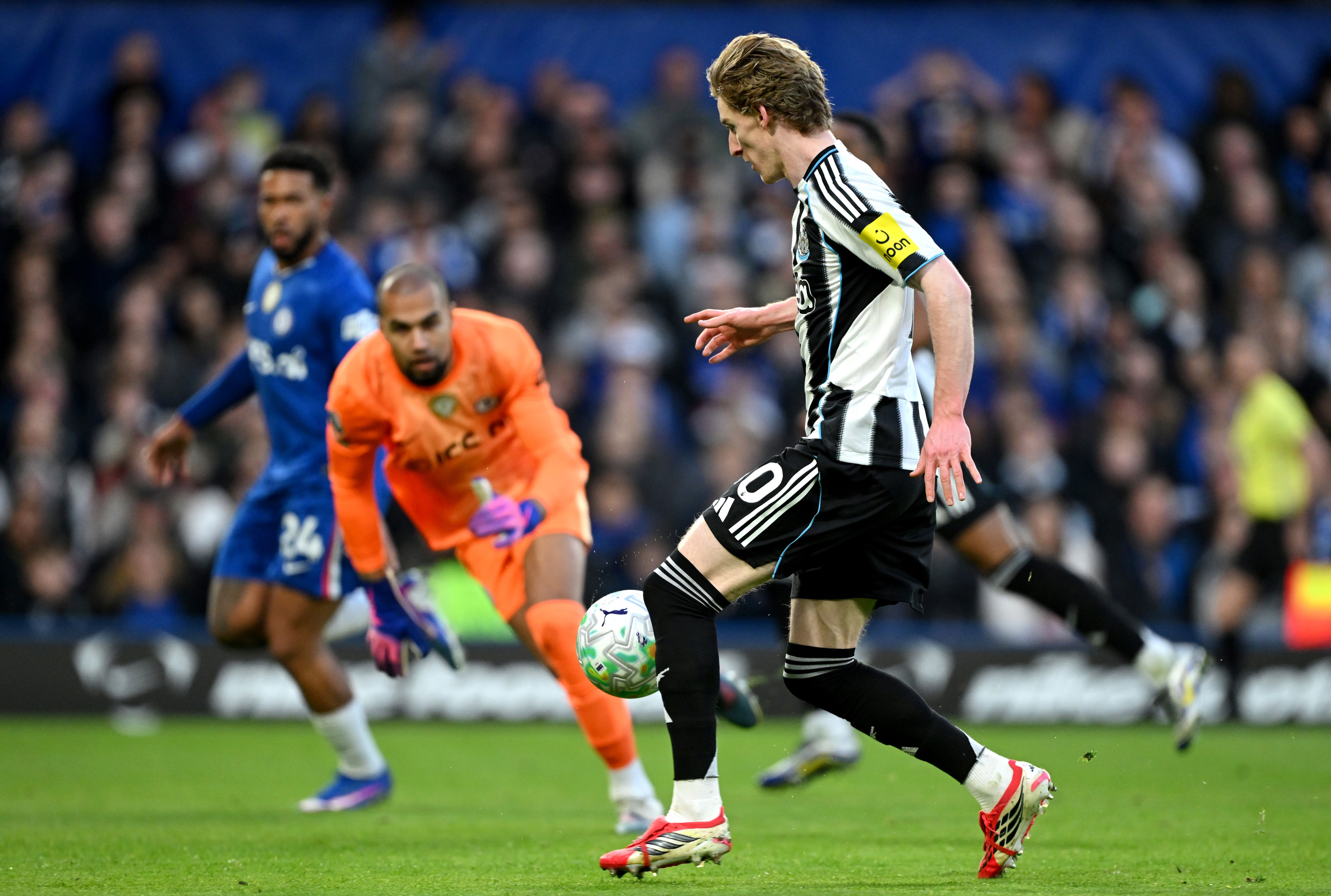 There was little Robert Sanchez could do to deny Anthony Gordon’s first-half winner (Getty Images)