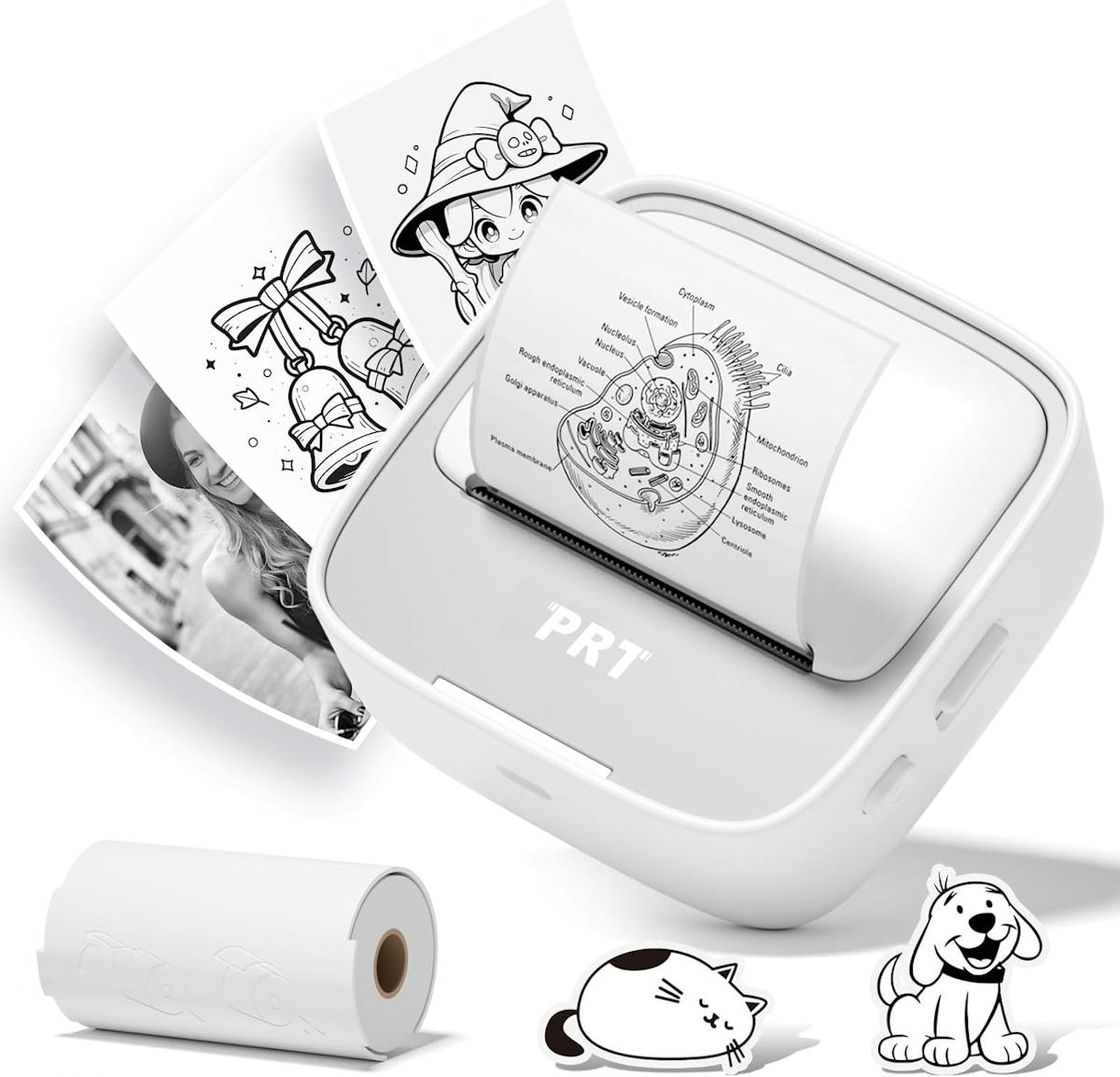 Hands Down, The 90 Bougiest & Most Useful Gifts Under $25