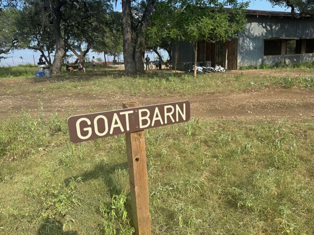 Trade traffic for tranquility at this goat-filled Texas Hill Country oasis