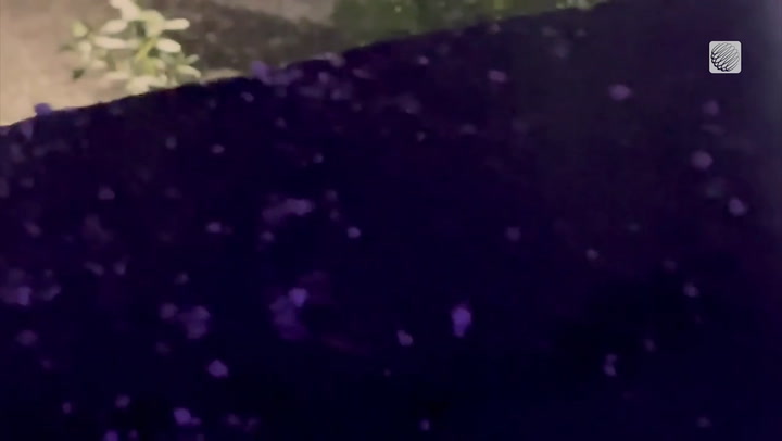 Unexpected spring weather: Graupel storm at midnight