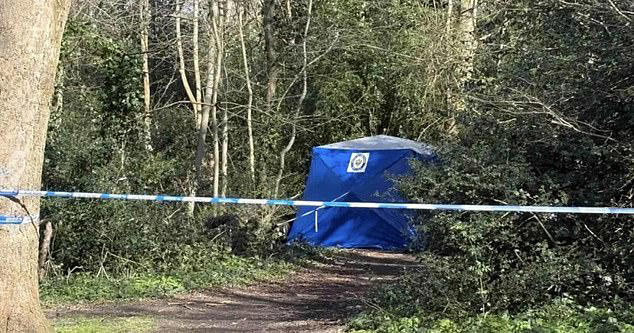 Body of man is found inside wheelie bin in park: Police fear victim was ...