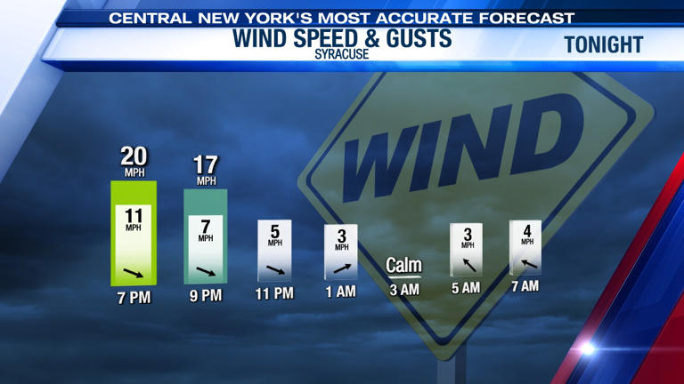 Morning snow showers give way to a milder Sunday