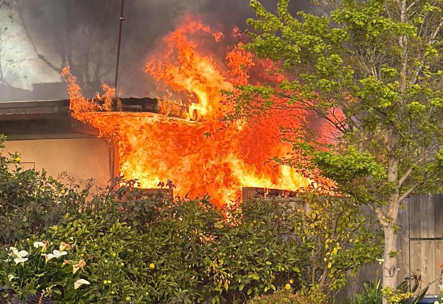 3 people and a dog displaced after home fire in Castro Valley