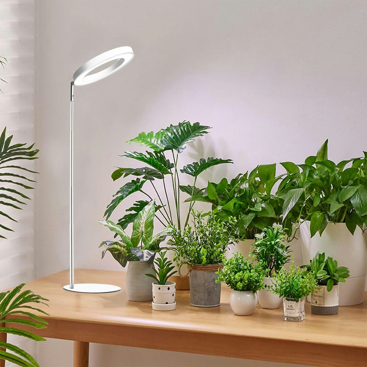 60 weird things under $20 that are actually sick as hell
