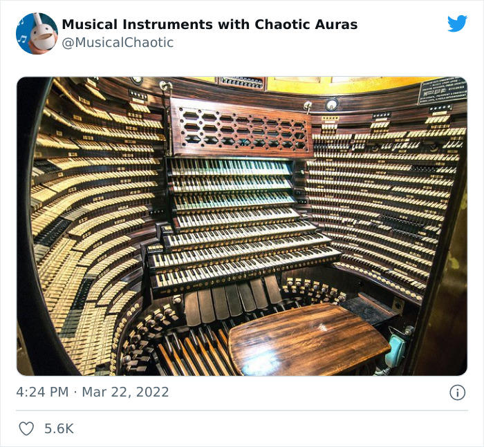 21 funny and bizarre pics from the “Musical Instruments With Chaotic ...