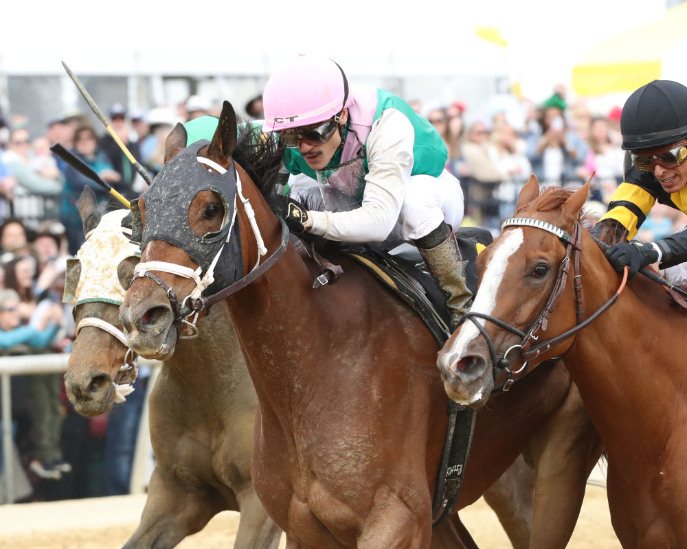 Chasten sets Colonial Downs track record in division of inaugural Sandy Bottom<br><br>