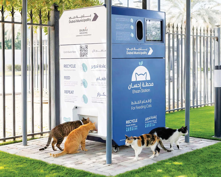 Tabiat ve bilim el ele