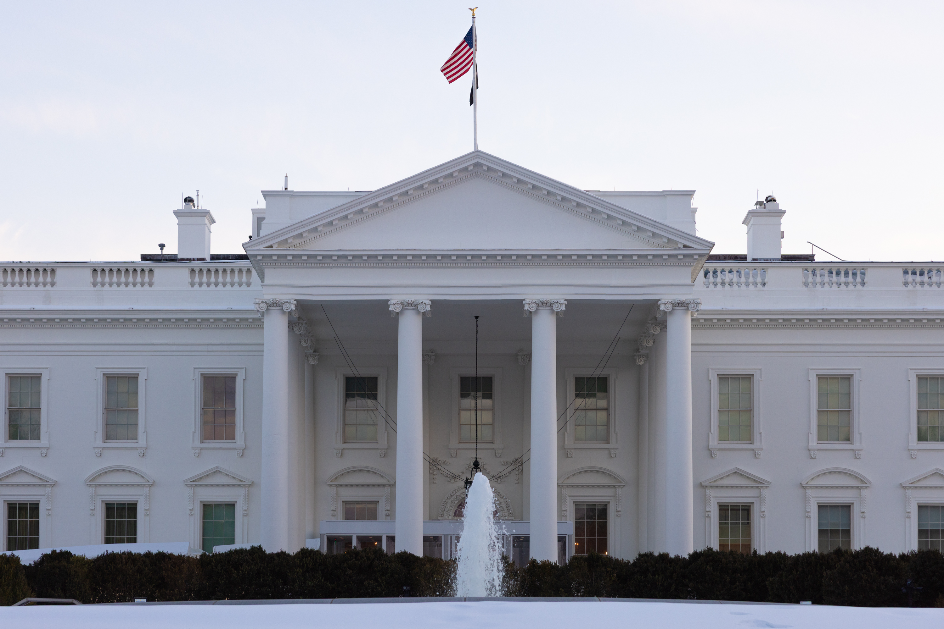 Appointee wants to replace White House columns with the ones Trump prefers