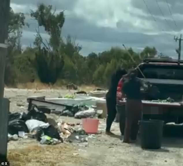 Aussie motorist captures dashcam of fellow driver and her passenger's ...