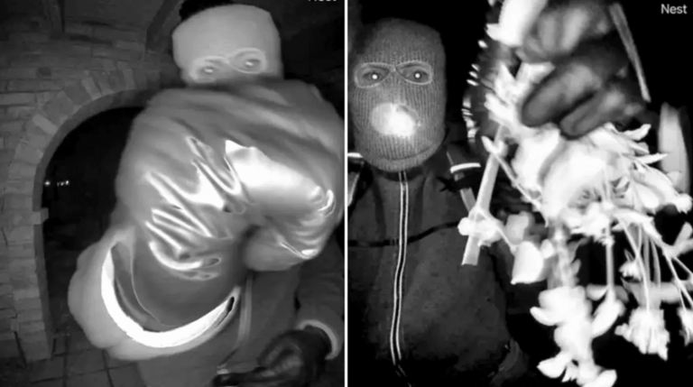 Nancy Guthrie kidnapper is 'losing control' after image release, FBI ...
