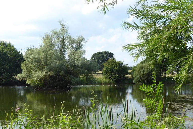 Stunning Kent nature reserve with lake walks that's perfect for bird ...
