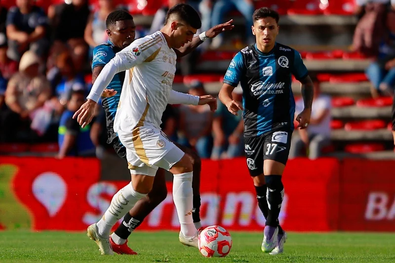 Tigres vs Querétaro ¿Dónde y a qué hora ver en vivo la J11 del Clausura ...