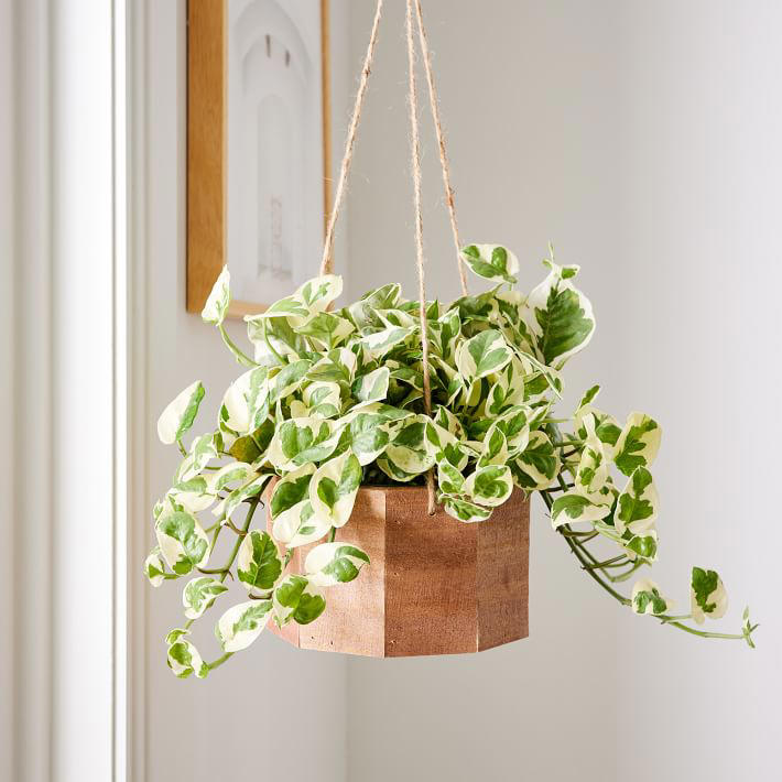 artificial philodendron tree Artificial Philodendron Selloum Tree DVP RD-FZCY054-5