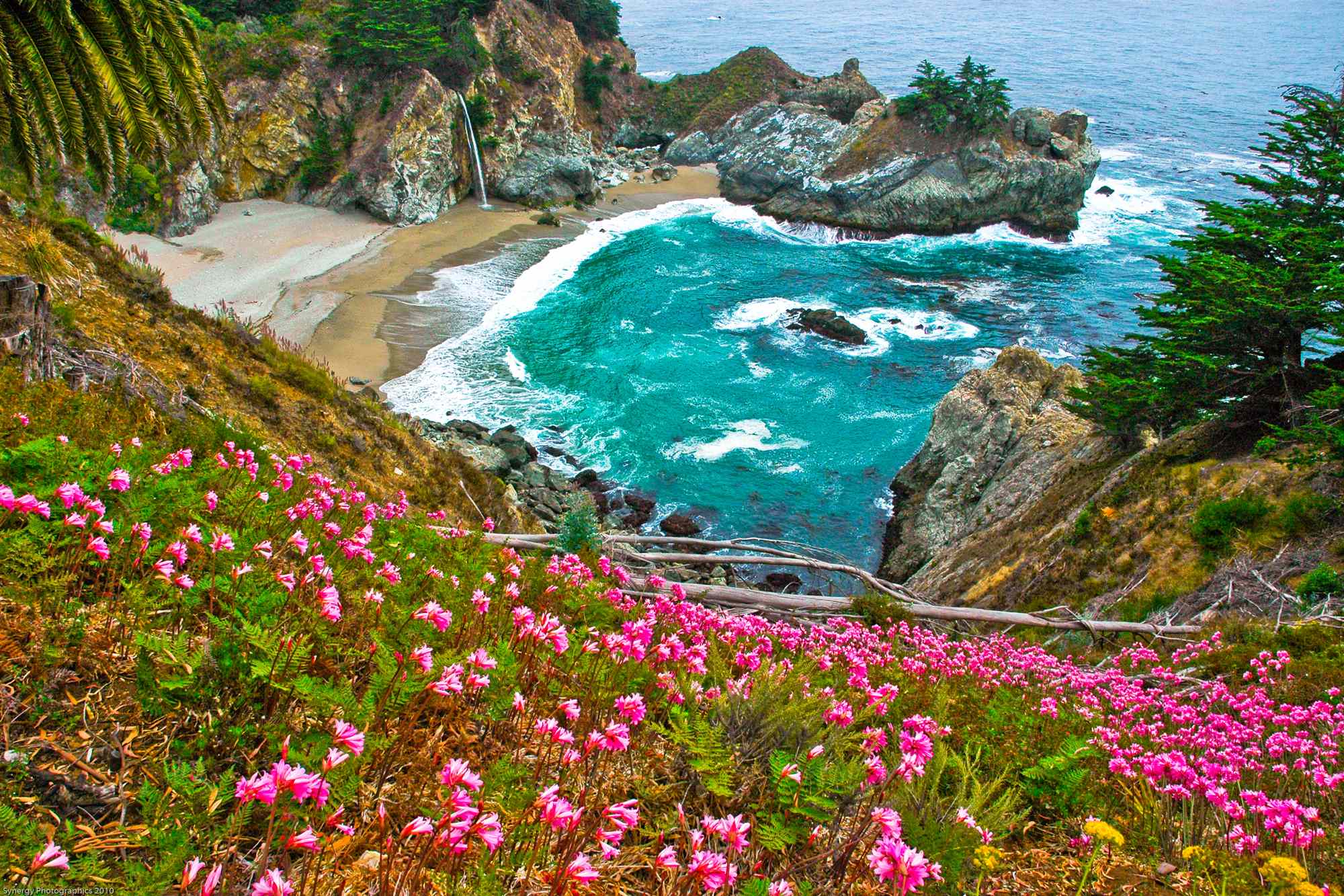 Jeff Black/Synergy Photographics/iStockphoto/Getty Images