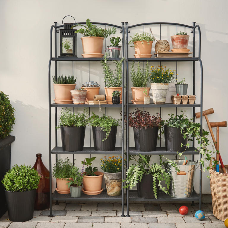 IKEA's pretty plant shelf has transformed my small concrete garden