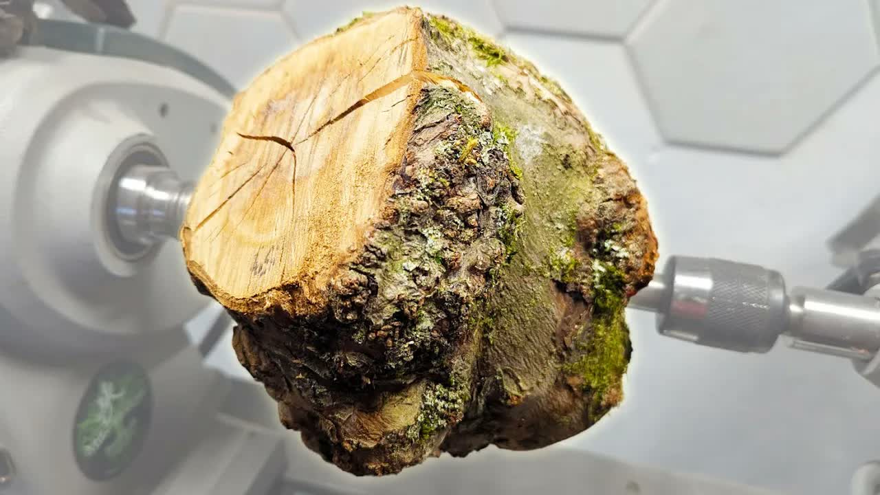 Mindblowing grain uncovered The magic inside apple burl woodturning