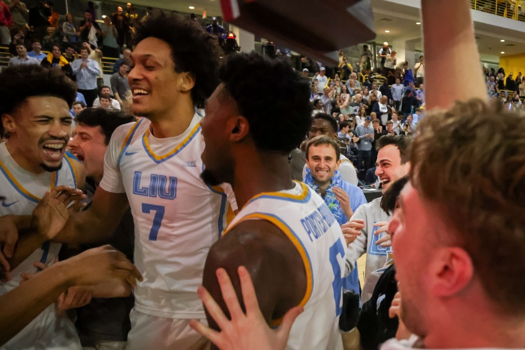 Meet the 'Fins Up' guys who put LIU hoops fans on the map — despite not ...