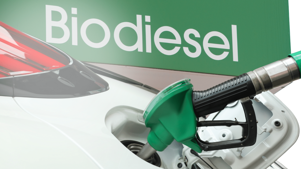 Higher biodiesel blend of 7% pushed amid surging oil prices
