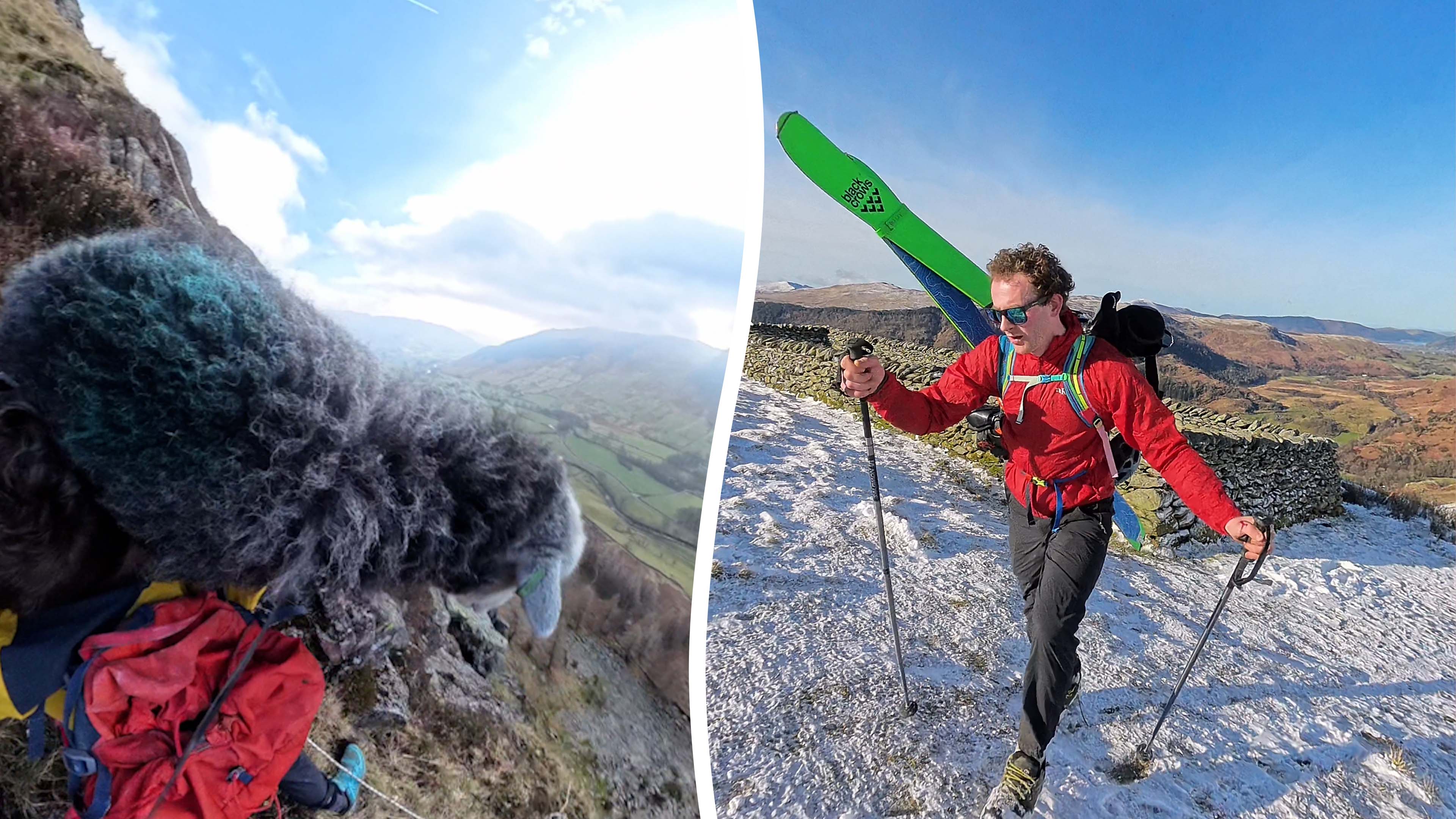 Climber grabs and rescues sheep stuck on mountain