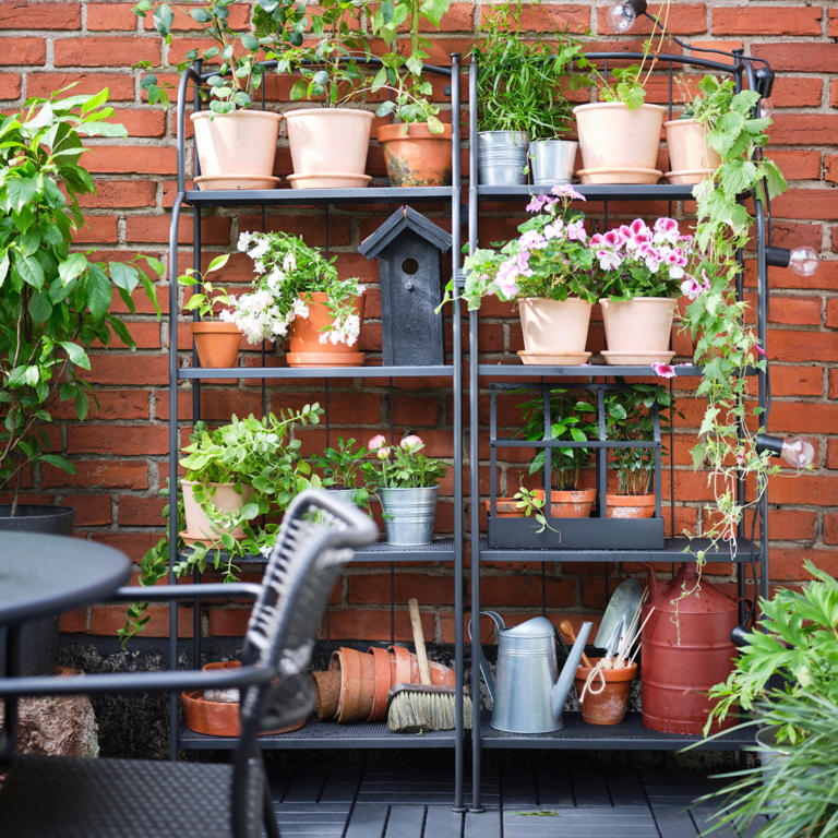 IKEA's pretty plant shelf has transformed my small concrete garden