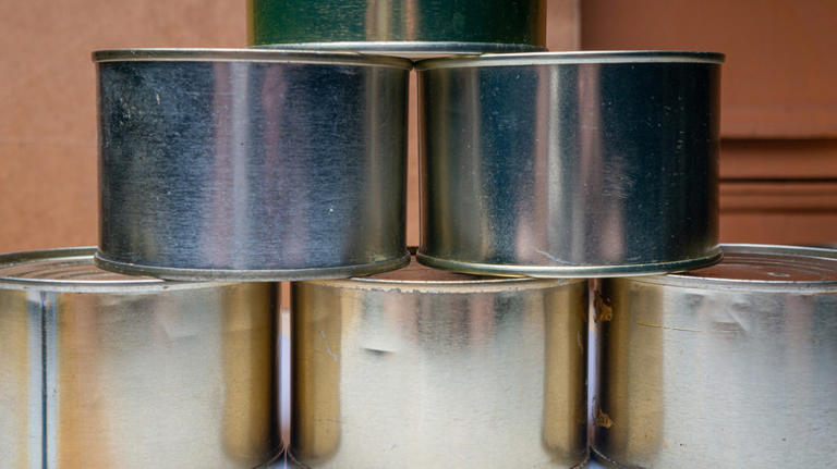 From trash to treasure: Turn old tuna cans into vintage-inspired ...