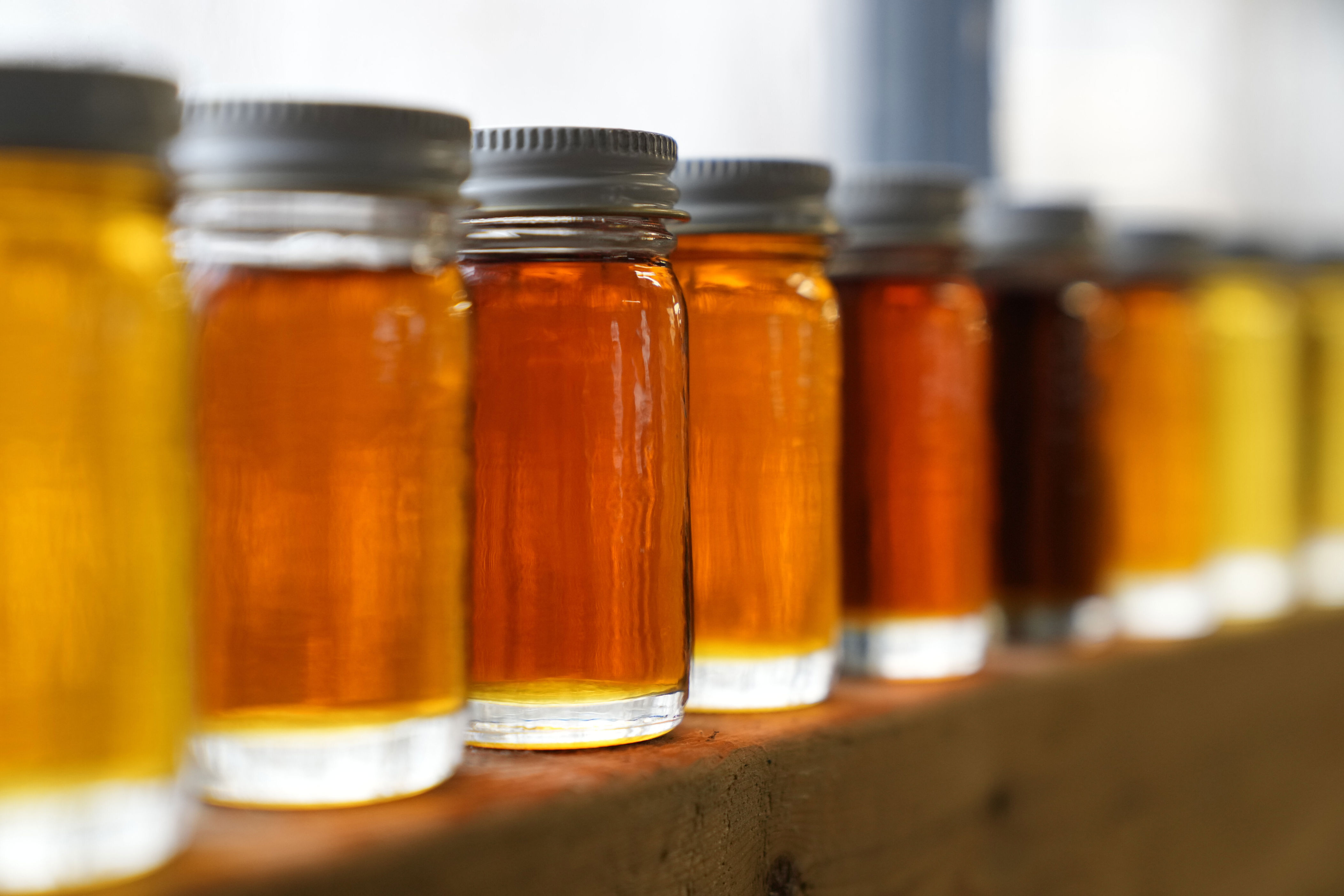 Quebec syrup-makers turn to automation