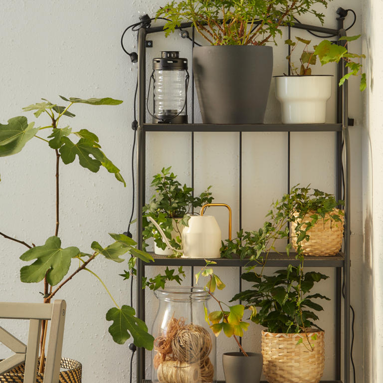 IKEA's pretty plant shelf has transformed my small concrete garden